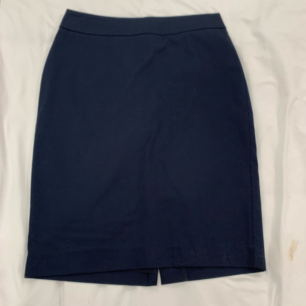 Ann Taylor Pencil Skirt